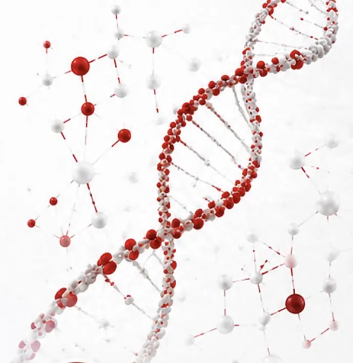 Kırmızı ve beyaz DNA sarmalı illüstrasyonu